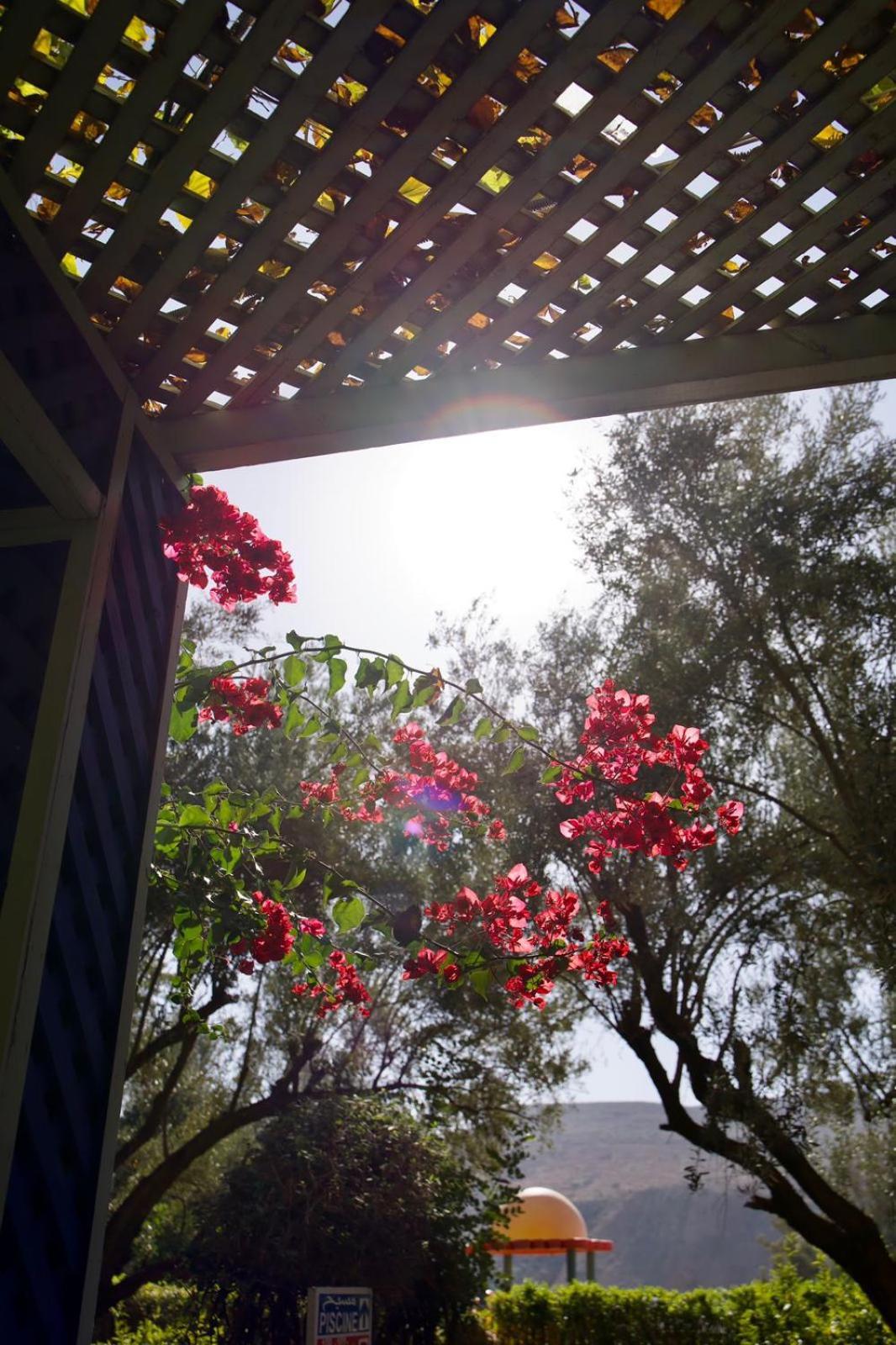Hotel Le Coq Hardi Ait Ourir Exterior photo