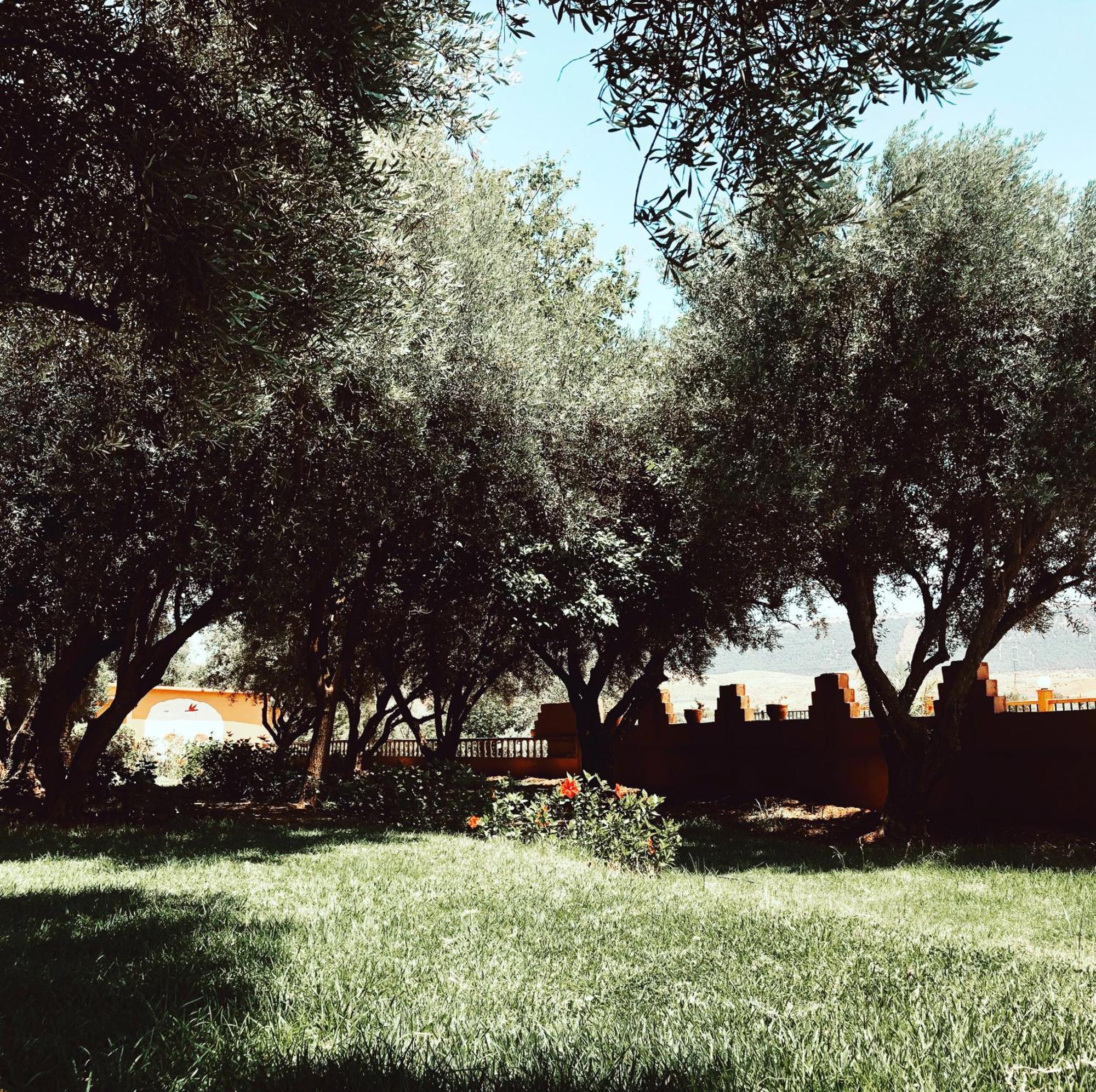 Hotel Le Coq Hardi Ait Ourir Exterior photo