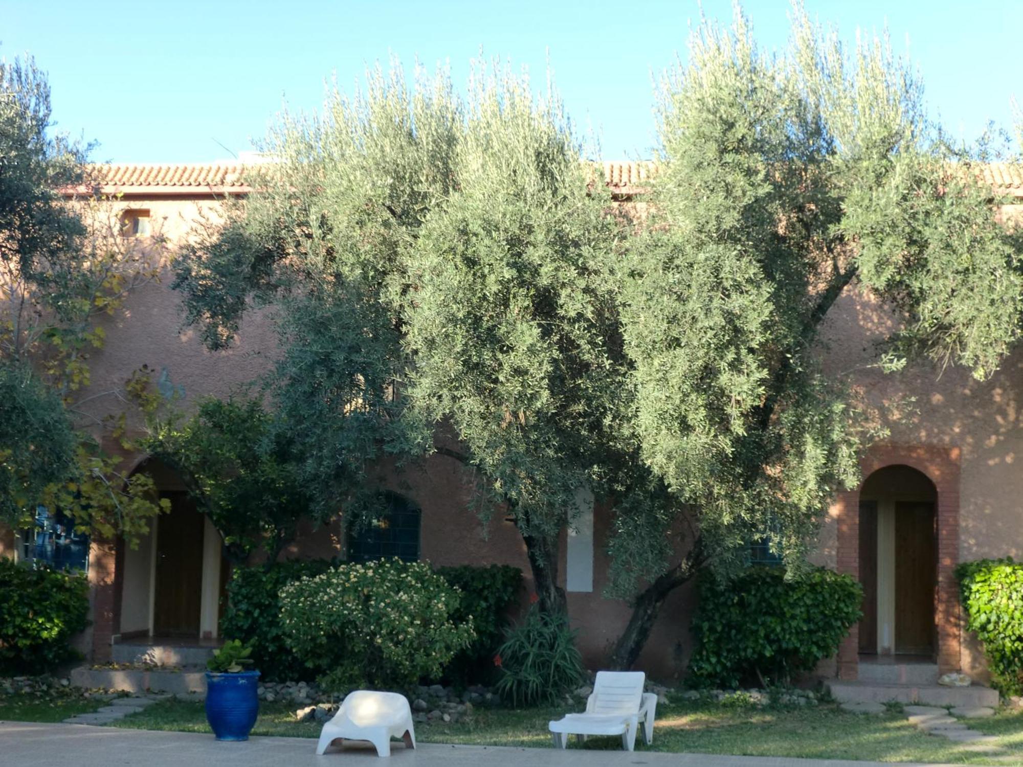 Hotel Le Coq Hardi Ait Ourir Exterior photo